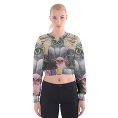 Graffiti Owl Design Cropped Sweatshirt