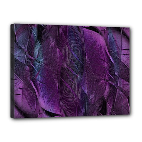 Feather Pattern Texture Form Canvas 16  X 12  (stretched)