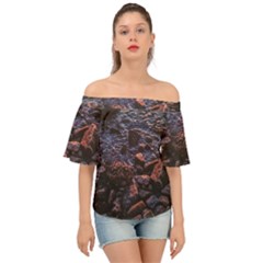 Twilight Treasures: Rocky Beachscape  Off Shoulder Short Sleeve Top by dflcprintsclothing