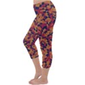 Kaleidoscope Dreams  Capri Winter Leggings  View2