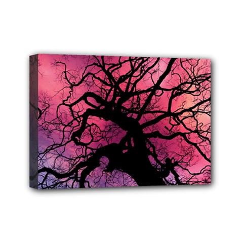 Trees Silhouette Sky Clouds Sunset Mini Canvas 7  X 5  (stretched) by Bangk1t