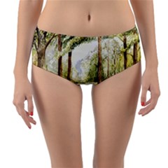 Trees Park Watercolor Lavender Flowers Foliage Reversible Mid-waist Bikini Bottoms