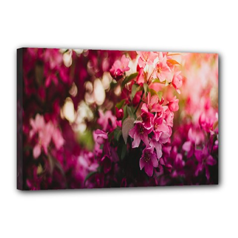 Pink Flower Canvas 18  X 12  (stretched)