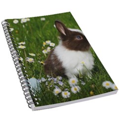 Rabbit 5 5  X 8 5  Notebook