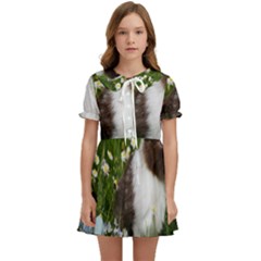 Rabbit Kids  Sweet Collar Dress by artworkshop