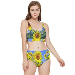 Sunflower Gift Frilly Bikini Set