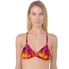 Various Colors Reversible Tri Bikini Top by artworkshop