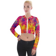 Various Colors Long Sleeve Cropped Velvet Jacket by artworkshop