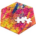 Various Colors Wooden Puzzle Hexagon View2