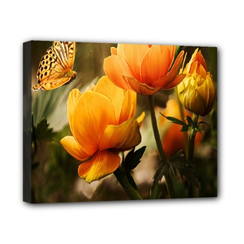 Yellow Butterfly Flower Canvas 10  X 8  (stretched) by artworkshop