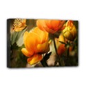 Yellow Butterfly Flower Deluxe Canvas 18  x 12  (Stretched) View1