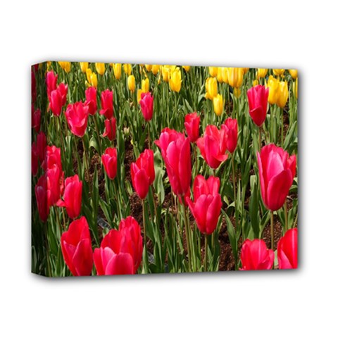 Yellow Pink Red Flowers Deluxe Canvas 14  X 11  (stretched) by artworkshop