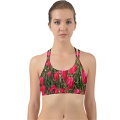 Yellow Pink Red Flowers Back Web Sports Bra by artworkshop