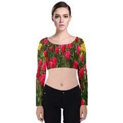 Yellow Pink Red Flowers Velvet Long Sleeve Crop Top by artworkshop