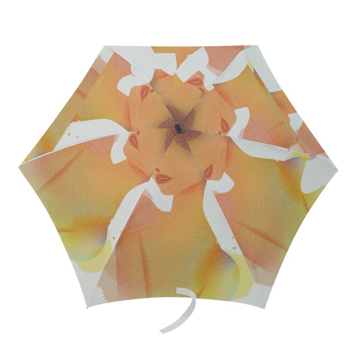 Lady Mini Folding Umbrellas