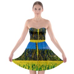 Different Grain Growth Field Strapless Bra Top Dress