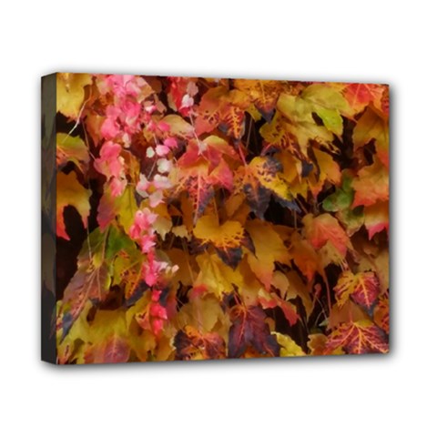 Red And Yellow Ivy  Canvas 10  X 8  (stretched)