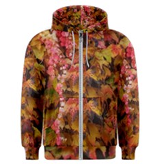 Red And Yellow Ivy  Men s Zipper Hoodie by okhismakingart