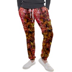 Red And Yellow Ivy  Men s Jogger Sweatpants by okhismakingart