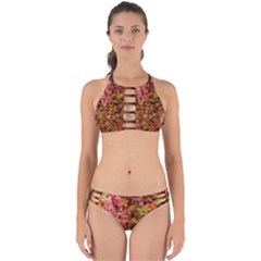 Red And Yellow Ivy  Perfectly Cut Out Bikini Set by okhismakingart