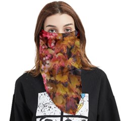 Red And Yellow Ivy  Face Covering Bandana (triangle) by okhismakingart