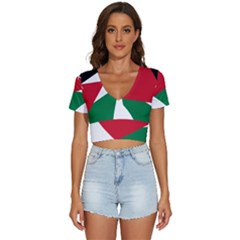 Heart-love-affection-jordan V-Neck Crop Top