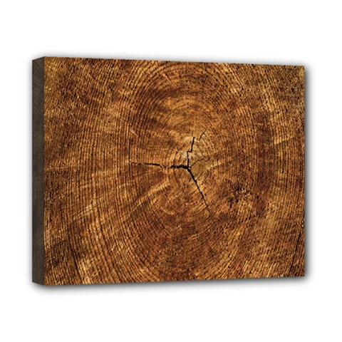 Annual-rings Canvas 10  X 8  (stretched) by nateshop