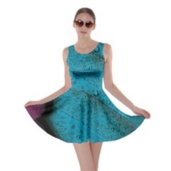 Plumage Skater Dress by nateshop