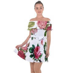 Roses-white Off Shoulder Velour Dress by nateshop