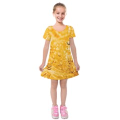 Water-gold Kids  Short Sleeve Velvet Dress