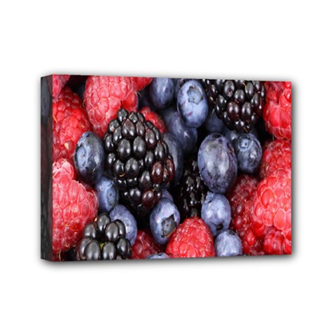 Berries-01 Mini Canvas 7  X 5  (stretched) by nateshop