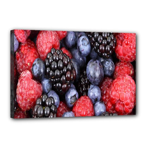 Berries-01 Canvas 18  X 12  (stretched) by nateshop