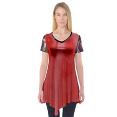 Adobe Express 20230807 1249100 1 Fb Img 1694012935321 Fb Img 1694012925239 Pngfind Com-league-of-legends-png-3243460 Short Sleeve Tunic 