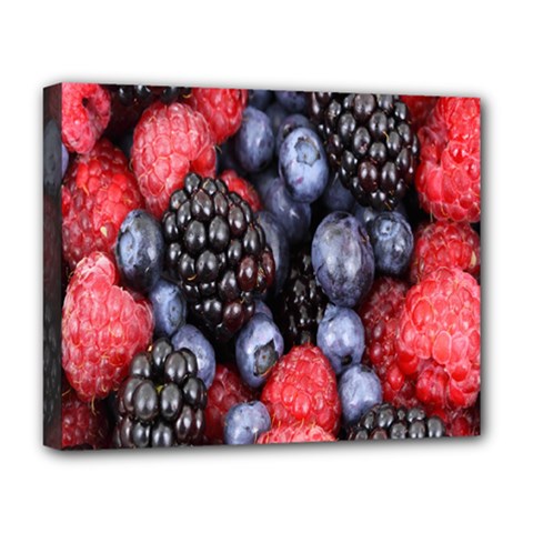 Berries-01 Deluxe Canvas 20  X 16  (stretched) by nateshop