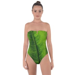 Green-leaf-plant-freshness-color Tie Back One Piece Swimsuit by Bedest