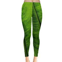 Green-leaf-plant-freshness-color Everyday Leggings  by Bedest