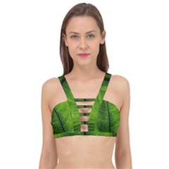 Green-leaf-plant-freshness-color Cage Up Bikini Top by Bedest