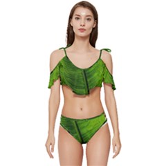 Green-leaf-plant-freshness-color Ruffle Edge Tie Up Bikini Set	 by Bedest