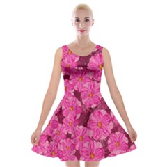 Cherry-blossoms-floral-design Velvet Skater Dress by Bedest