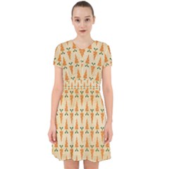 Patter-carrot-pattern-carrot-print Adorable in Chiffon Dress