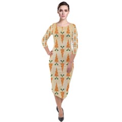 Patter-carrot-pattern-carrot-print Quarter Sleeve Midi Velour Bodycon Dress