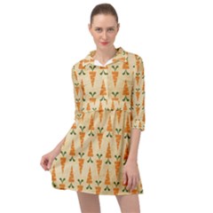 Patter-carrot-pattern-carrot-print Mini Skater Shirt Dress