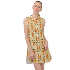 Patter-carrot-pattern-carrot-print Sleeveless Shirt Dress