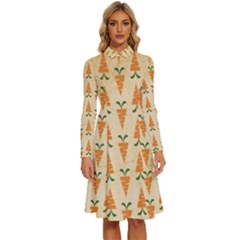 Patter-carrot-pattern-carrot-print Long Sleeve Shirt Collar A-Line Dress