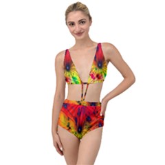 Color-background-structure-lines Tied Up Two Piece Swimsuit by Cowasu
