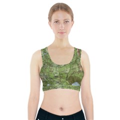 Map Earth World Russia Europe Sports Bra With Pocket