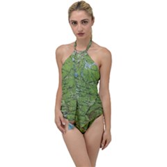 Map Earth World Russia Europe Go With The Flow One Piece Swimsuit