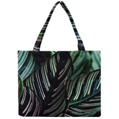 Calathea Leaves Strippe Line Mini Tote Bag by Ravend