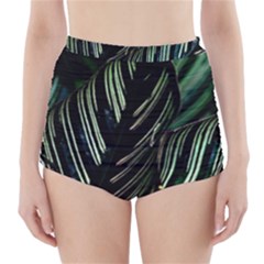 Calathea Leaves Strippe Line High-waisted Bikini Bottoms by Ravend