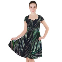 Calathea Leaves Strippe Line Cap Sleeve Midi Dress